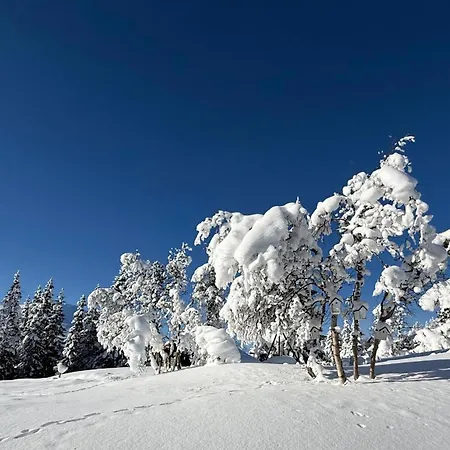 Gaustatoppen, Gaustablikk, Sol Og Utsikt, In Out Gaustablikk