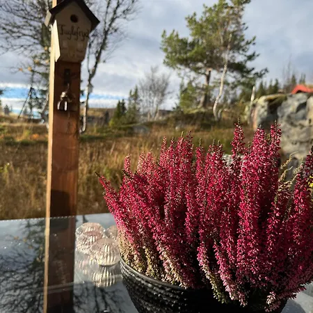 Gaustatoppen, Gaustablikk, Sol Og Utsikt, In Out Gaustablikk