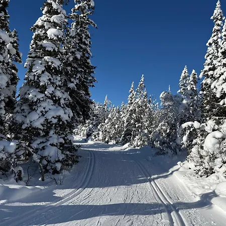 Gaustatoppen, Gaustablikk, Sol Og Utsikt, In Out